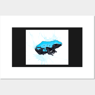 A. Galactonotus "Blue Splash-Backed" Dart Frog Posters and Art